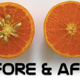 Illustration for article titled Mutation breeding creates the worlds most perfect orange